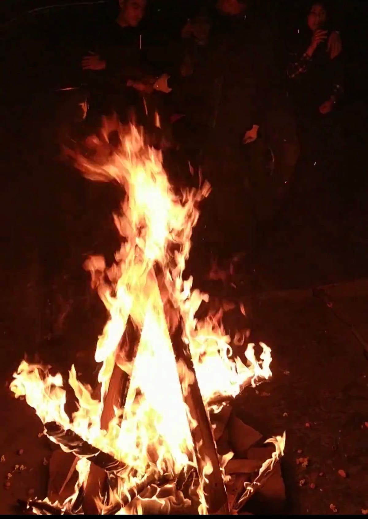 Lohri: From bonfires to belief