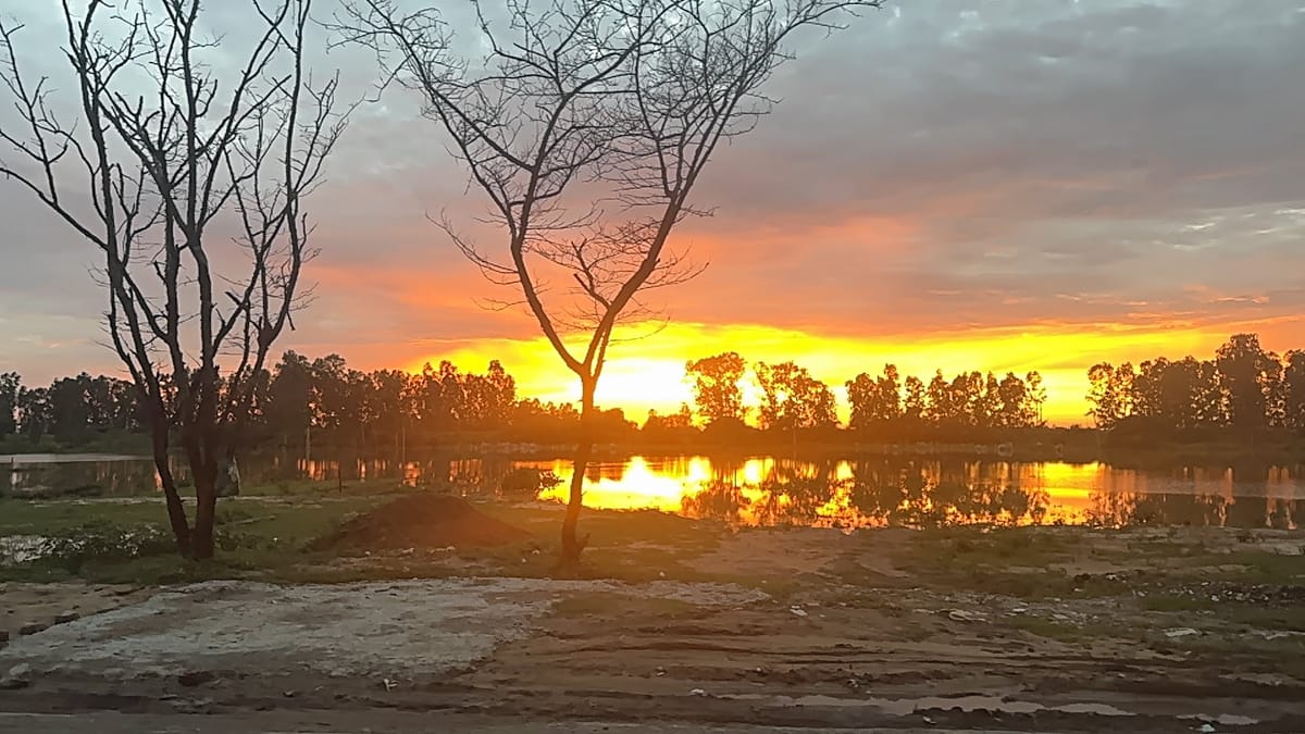 It's all in the Mind