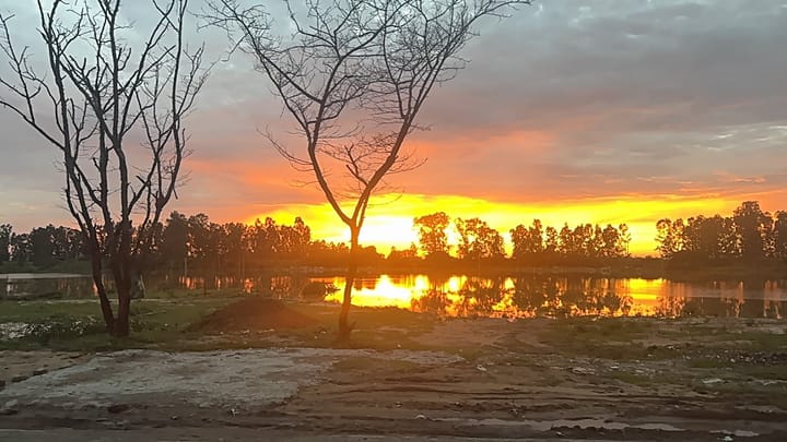 It's all in the Mind